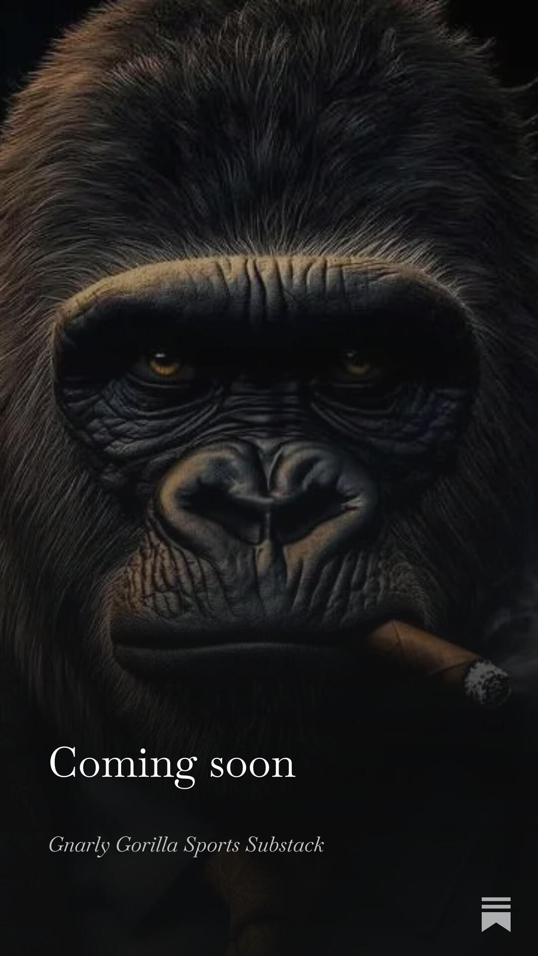 Gnarly Gorilla's Ambassador Cards